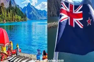 New Zealand Shifts Transit Visa Application Online