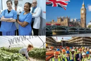 1,500+ UK Work Visa Sponsorship Jobs Available in September 2024