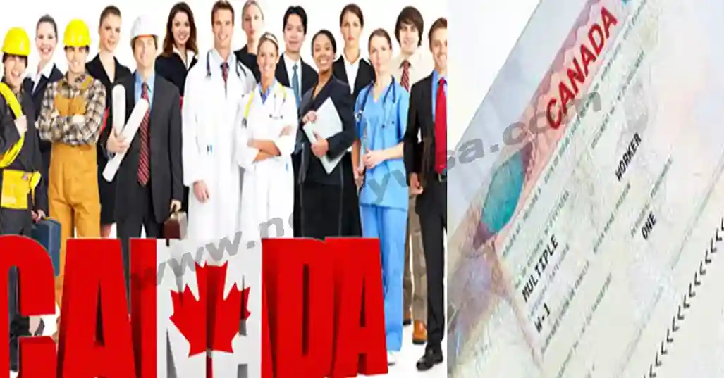 Canada Work Visa Update 2024 Apply Without Employer Sponsorship