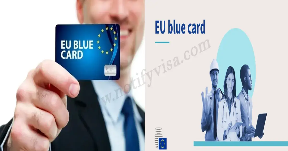 EU Blue Card How European Countries Are Attracting Global Talent with New Entry Rules