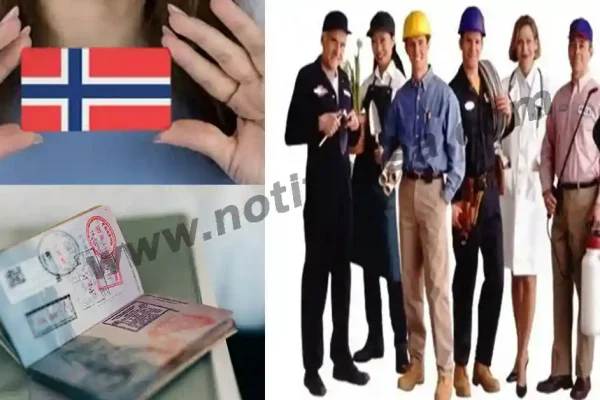 How to Find Skilled Jobs in Norway with the 2024 Work Search Visa