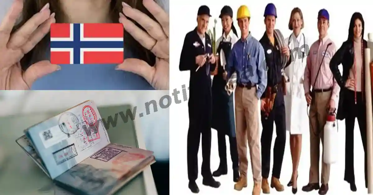 How to Find Skilled Jobs in Norway with the 2024 Work Search Visa