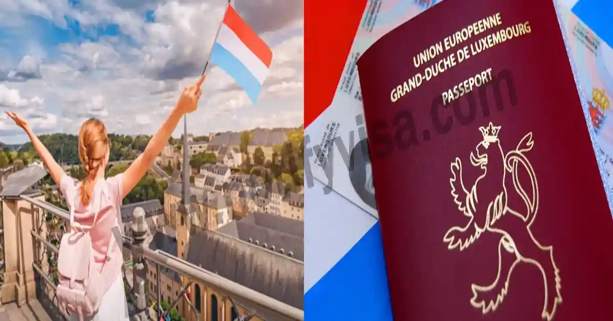 How to Work in Luxembourg Essential Guide to Work Visas, Shortage Professions, and Job Benefits