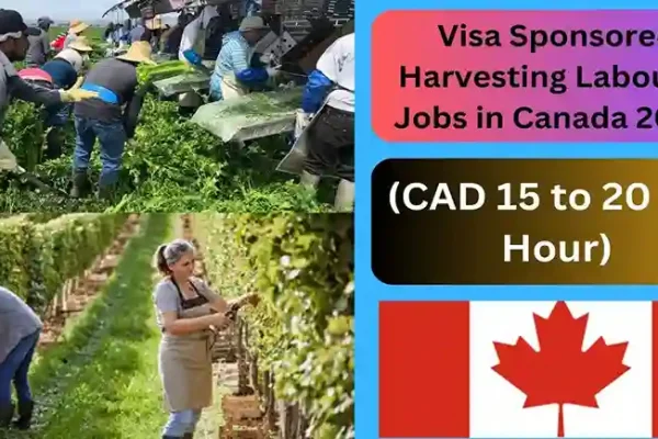 Visa Sponsored Harvesting Labourer Jobs in Canada 2024