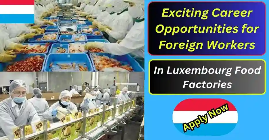 Exciting Career Opportunities for Foreign Workers in Luxembourg Food Factories