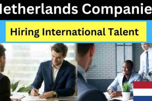 Netherlands Companies Hiring International Talent