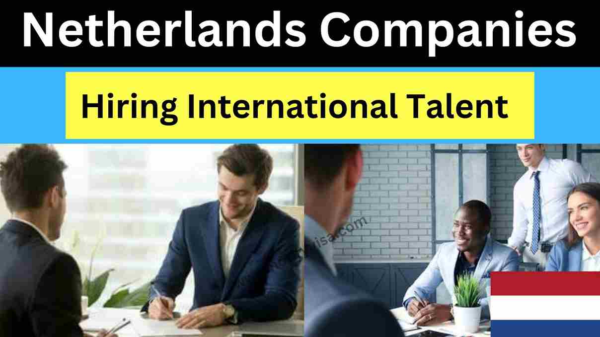 Netherlands Companies Hiring International Talent