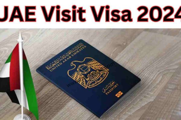 UAE Visit Visa Requirements and Application Process for 2024 #1