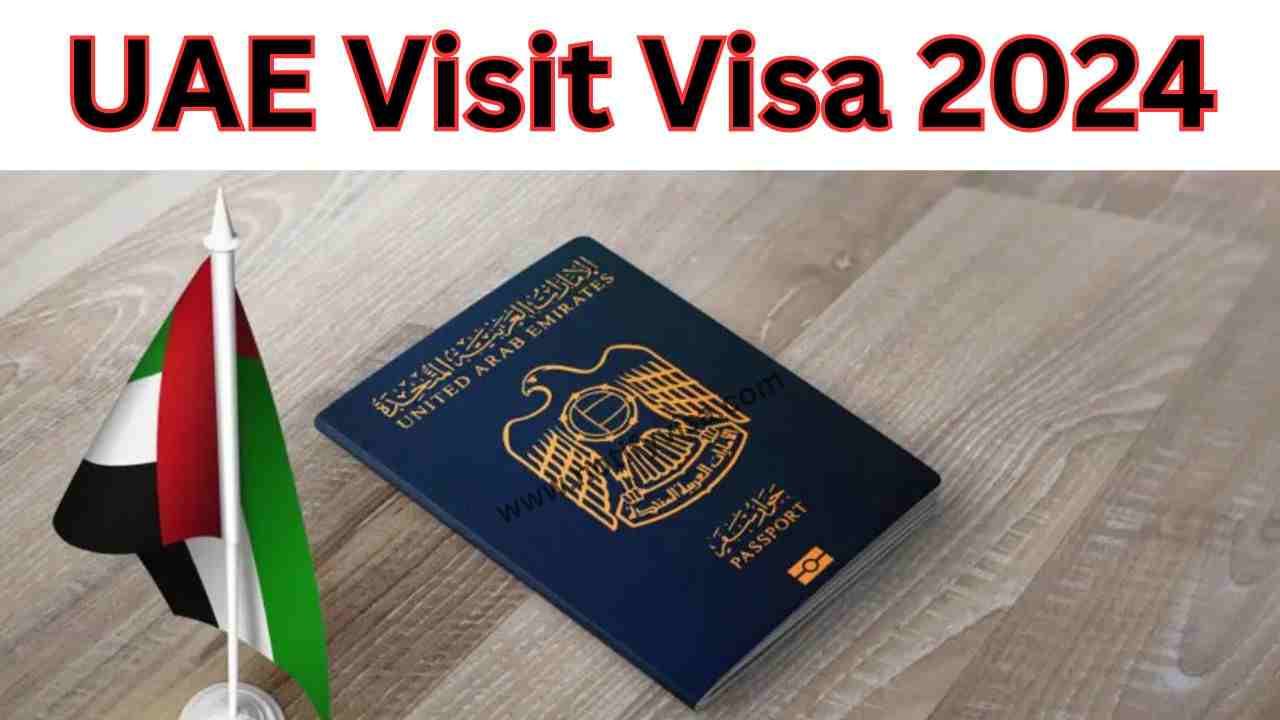 UAE Visit Visa Requirements and Application Process for 2024 #1