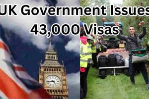 UK Government Issues 43,000 Visas for Seasonal Workers in 2025