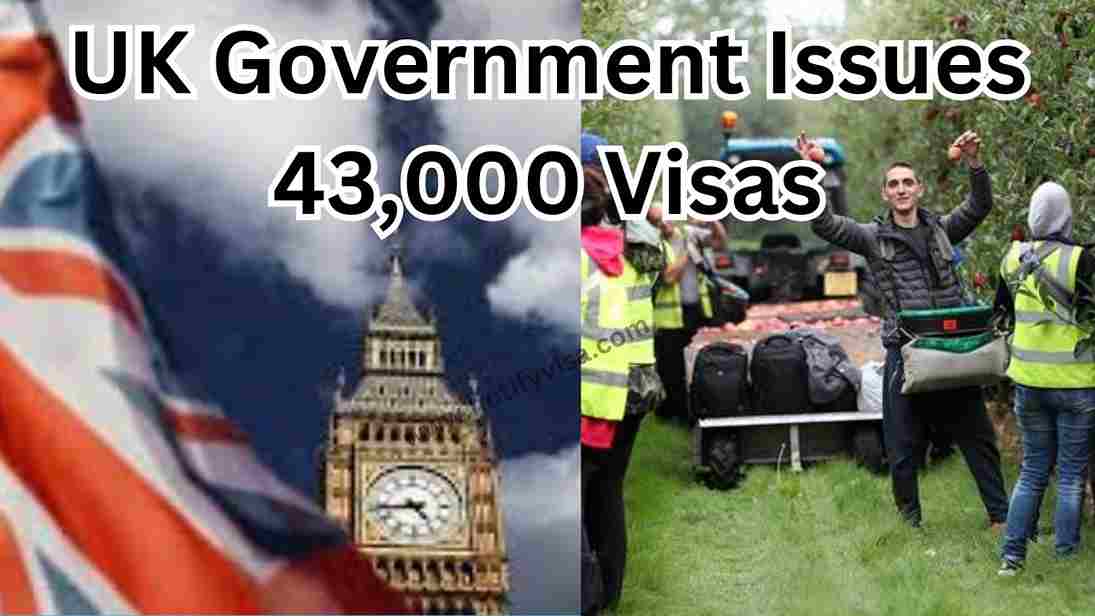 UK Government Issues 43,000 Visas for Seasonal Workers in 2025