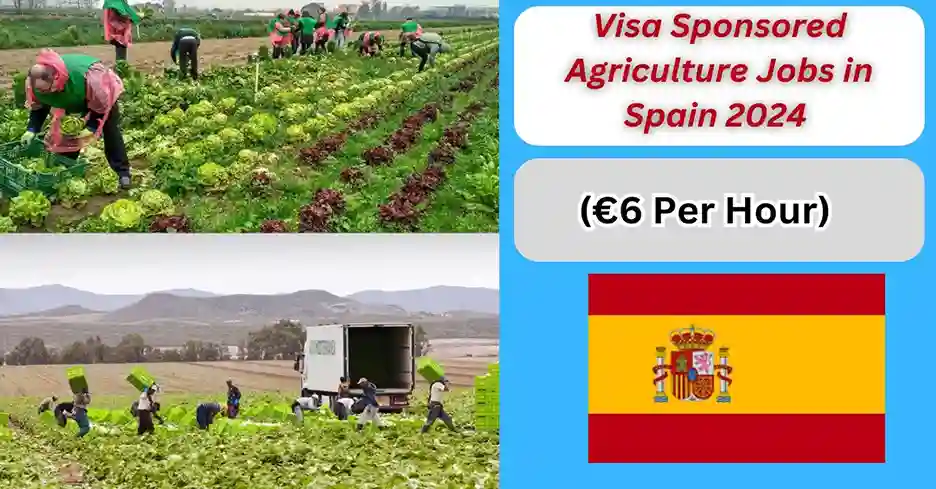 Visa Sponsored Agriculture Jobs in Spain 2024