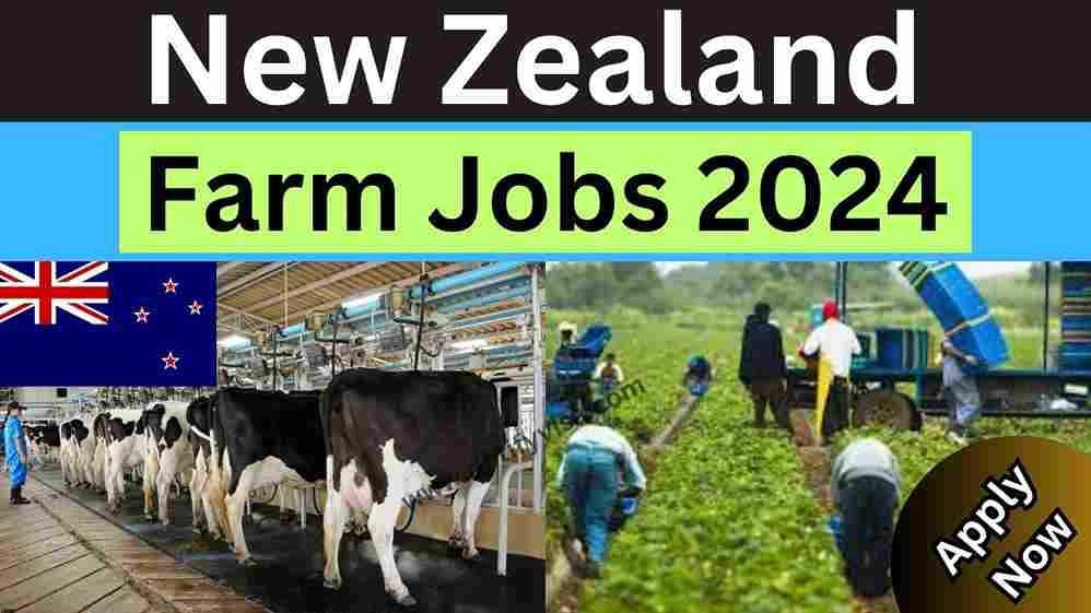 Visa Sponsored Farm Jobs in New Zealand 2024