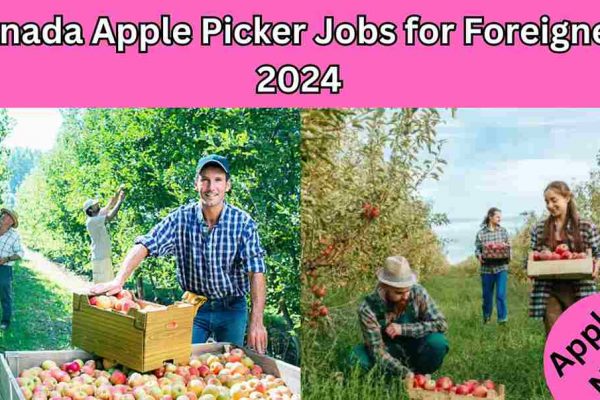 Canada Apple Picker Jobs for Foreigners 2024